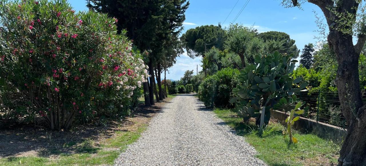 Masseria Brica Rossa Villa Thurii Exterior foto